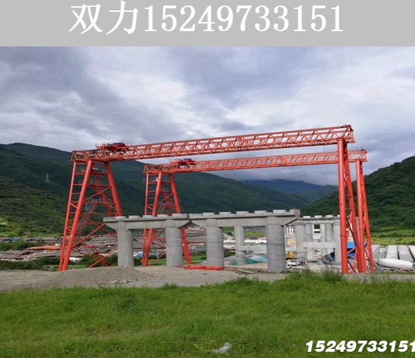 柳州100吨龙门吊